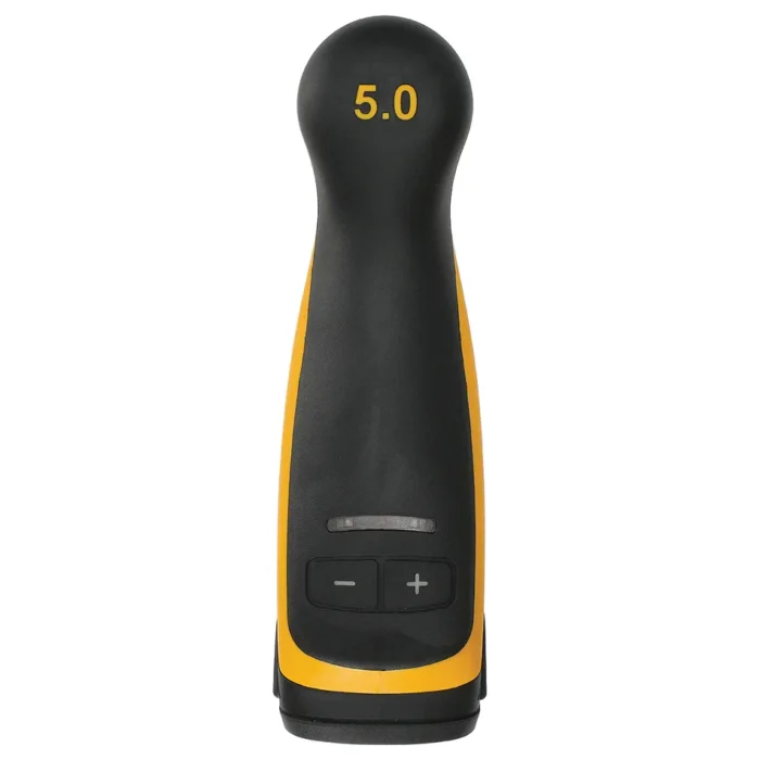 81
