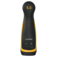 81
